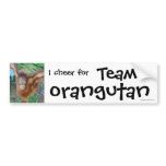 Wildlife Cheerleader : Team Orangutan Bumper Sticker
