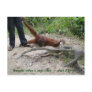 Wildlife Child Temper Tantrum Postcard