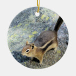 Wildlife Chipmunk Christmas Ornament