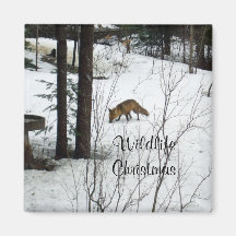 Wildlife Christmas-Fox Refrigerator Magnet