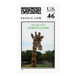 WILDLIFE CONSERVATION earth day  giraffe Stamps