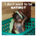Wildlife Conservation Pouty Baby print