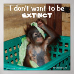 Wildlife Conservation Pouty Baby Print