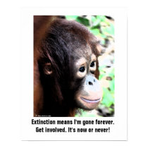Wildlife Extinction poster posters by Rebecca_Reeder Wildlife Extinction poster posters