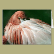 Wildlife-Flamingo cards by William63 Wildlife-Flamingo cards