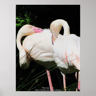 Wildlife - Flamingo poster by mmersdesign