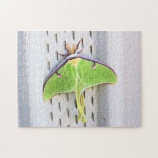 Wildlife - Green Luna Moth Puzzle