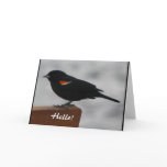 Wildlife Greeting Card
