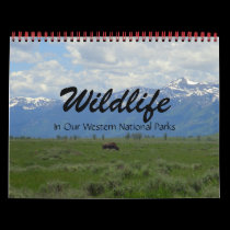 Wildlife In Our Western National Parks calendars