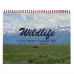 Wildlife In Our Western National Parks Wall Calendar