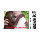 Wildlife is Precious postage