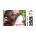 Wildlife is Precious postage postage by Rebecca_Reeder Wildlife is Precious postage postage