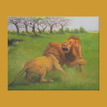 Wildlife Lion Fight Canvas canvas prints