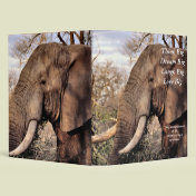Wildlife Lovers Elephant Think Big!
