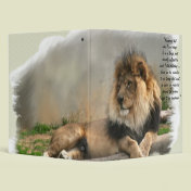 Wildlife Lovers The Lion