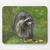 Wildlife Magic mousepads