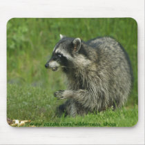 Wildlife Magic mousepads