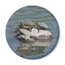 Wildlife magnets