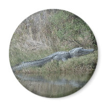 Wildlife Magnet magnets