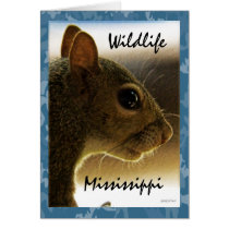 Wildlife Mississippi Gray Squirrel Greeting Greeting Card
