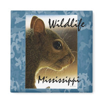 Wildlife Mississippi Gray Squirrel Magnet