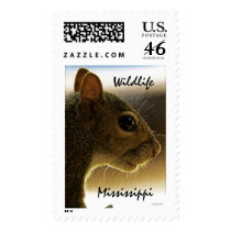 Wildlife Mississippi Gray Squirrel Postage Stamp
