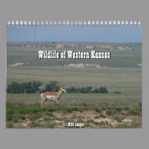 Wildlife of Western Kansas calendars