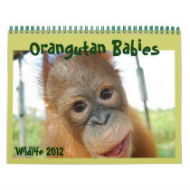 Wildlife Orangutan Babies Calendar
