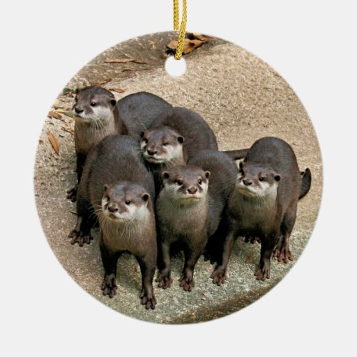 wildlife otters christmas ornament zazzle wildlife otters christmas ornament zazzle