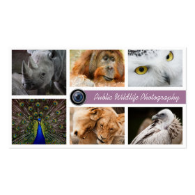 Wildlife Photographer Business Card