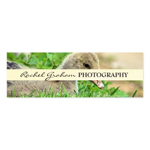 Wildlife - Photography Business Cards (front side)