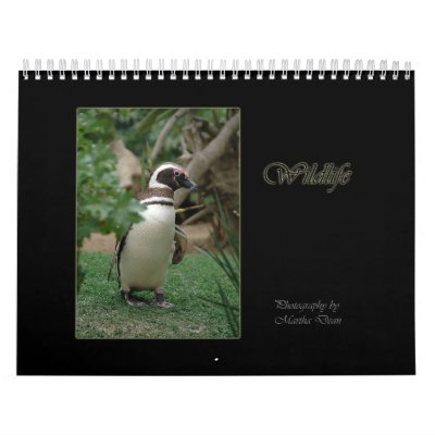 Wildlife Photography Calendar by thehatch