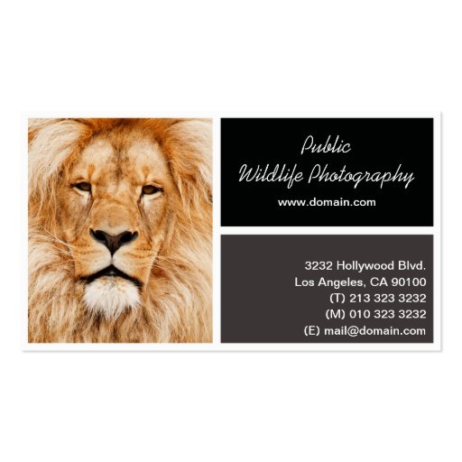 Wildlife Photography Photographer  Business Card (back side)