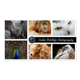 Wildlife Photography Photographer  Business Card