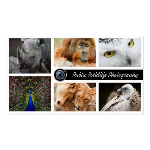 Wildlife Photography Photographer  Business Card (front side)
