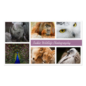 Wildlife Photography Photographers Business Card