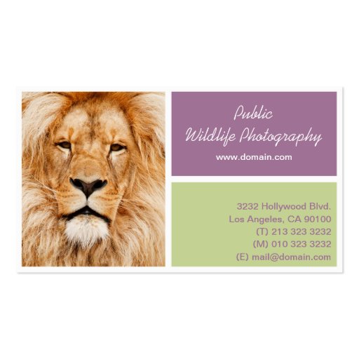 Wildlife Photography Photographers Business Card (back side)