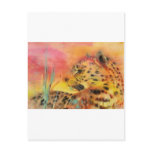 Wildlife Post Card