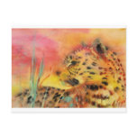 Wildlife Postcards