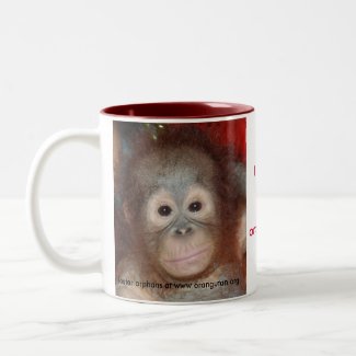 Wildlife Rainforest Charity mug
