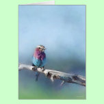 Wildlife-Resting cards