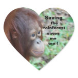 Wildlife: Save rainforest & animals Stickers