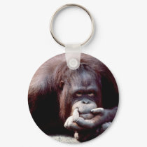 Wildlife Set - Primates 10 keychains by MuseMagic Wildlife Set - Primates 10 keychains