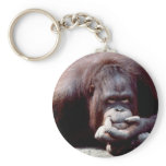 Wildlife Set - Primates 10 keychains