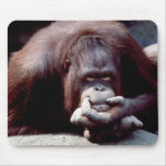 Wildlife Set - Primates 10 Mouse Pads