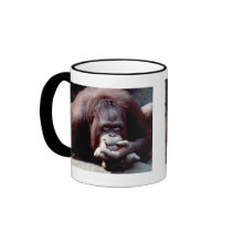 Wildlife Set - Primates 10 mugs by MuseMagic Wildlife Set - Primates 10 mugs