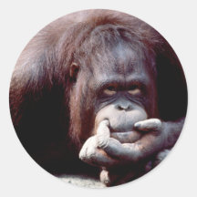 Wildlife Set - Primates 10 Stickers