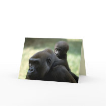 Wildlife Set - Primates 11 Greeting Cards