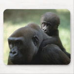 Wildlife Set - Primates 11 Mouse Mats