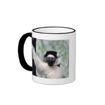 Wildlife Set - Primates 12 mugs by MuseMagic Wildlife Set - Primates 12 mugs